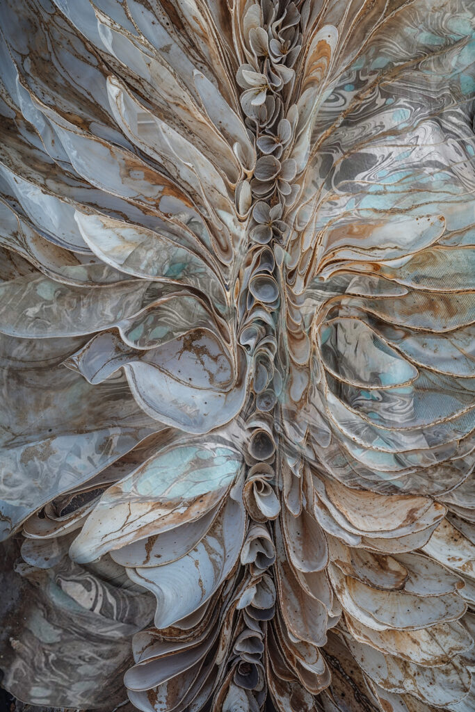 This image has an empty alt attribute; its file name is 8-1-683x1024.jpg